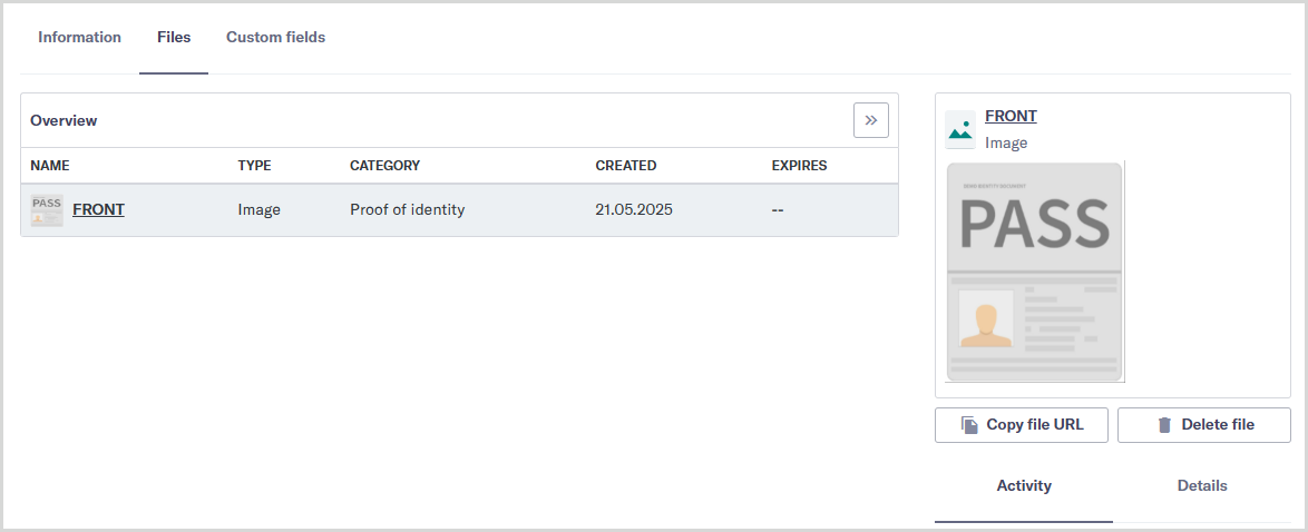 Entity data Files tab showing the file preview panel.