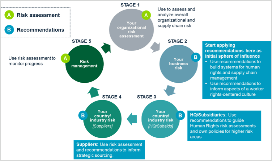 Diagram showing the stages of the risk assessment cycle.