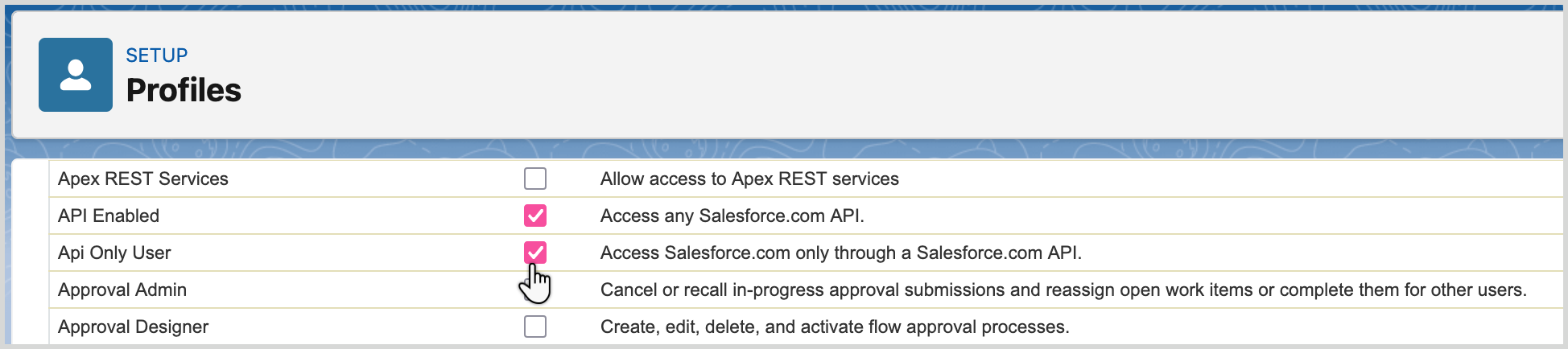Salesforce_select_APIforProfile.png