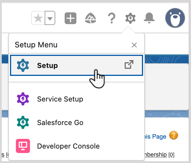 Selecting the Setup menu in Salesforce
